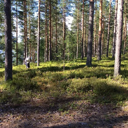 Aatelitalot Kolinkylä
